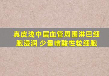 真皮浅中层血管周围淋巴细胞浸润 少量嗜酸性粒细胞